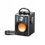 माइक्रोफोन के साथ बड़े पोर्टेबल स्पीकर