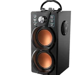 आउटडोर कराओके वक्ता