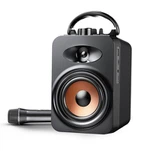 माइक्रोफोन के साथ पोर्टेबल कराओके स्पीकर